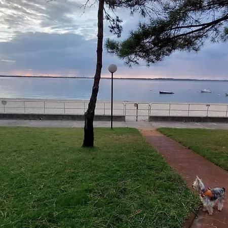 Studio Kenza Plage * Аркашон